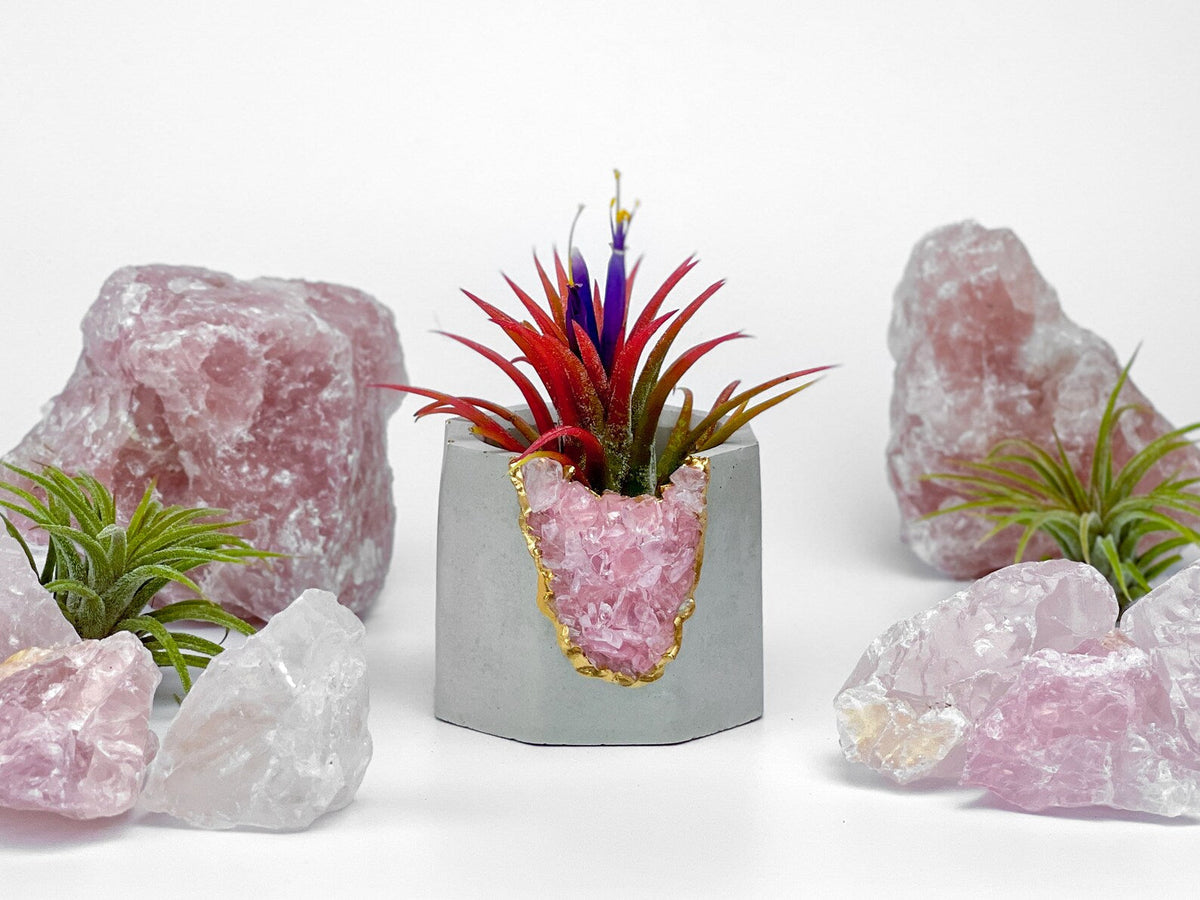 ROSE QUARTZ CANDLE HOLDER